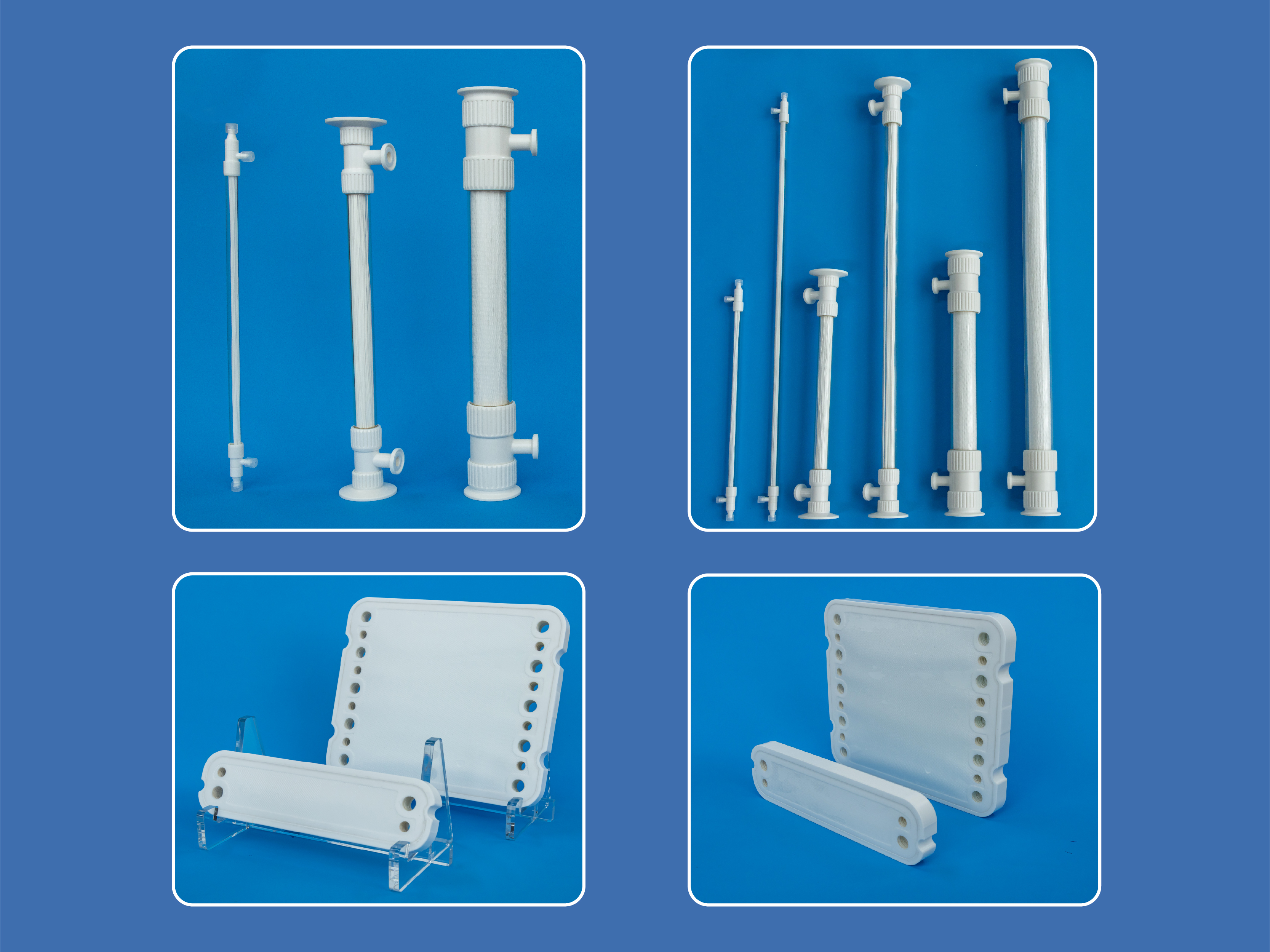 英国正版365医药膜重磅亮相 战新产业加速落地
